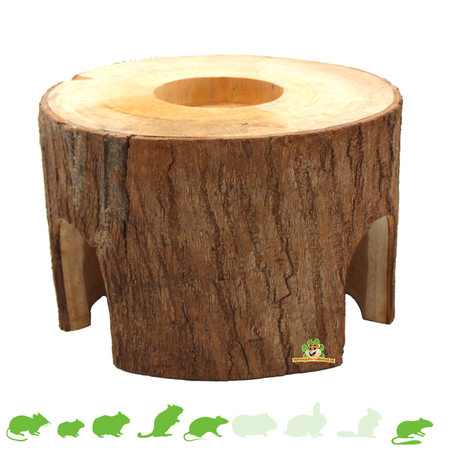 Tronco de árbol de cueva de caoba de Timpuseng, 18 cm