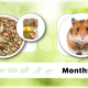 JR Farm Farm Food Hamster Adulte 500 grammes Nourriture pour hamster