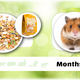 Mealberry Nourriture pour petit hamster