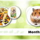 Supreme Harry Hamster Muesli complet 700 grammes Nourriture pour hamster