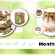 JR Farm Hamster nain Schmaus Nourriture complète pour hamster nain