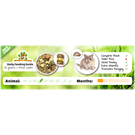JR Farm Farm Food Rennmausfutter für Erwachsene, 500 Gramm, natürliches Rennmausfutter