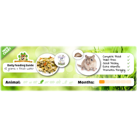 Bunny Nature Alimento para jerbos GerbilDroom Expert 500 gramos Alimento natural para jerbos