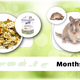 Bunny Nature Alimento para jerbos GerbilDroom Expert 500 gramos Alimento natural para jerbos