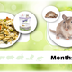 Bunny Nature GerbilDroom Expert Gerbil Food 500 grams Natural Gerbil Food