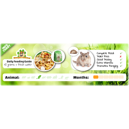 Mealberry Nourriture pour gerbilles Little One 400 grammes