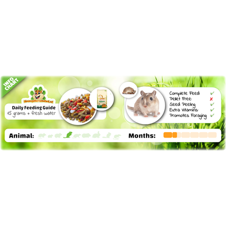 Versele-Laga Nature Gerbilvoer 700 gram Natuurlijke Gerbiilvoeding!