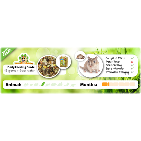 JR Farm Gerbil Schmaus Gerbilfutter 600 Gramm Natürliches Gerbilfutter