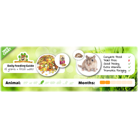 Supreme Gerri Gerbil Tasty Mix, nourriture pour gerbilles, 850 grammes