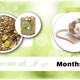 JR Farm Mouse Schmaus 600 grams Mouse food natural mouse food