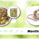JR Farm Souris Schmaus 600 grammes Nourriture pour souris nourriture naturelle pour souris