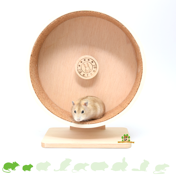 Potentieel Anders Gemeenten Koop Hamster Loopradjes eenvudig en snel in de Hamster Webshop! | DRD  Knaagdierwinkel®