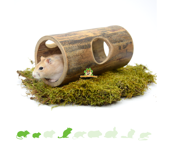 Syrian Hamster Wooden Bridge,Sugar Glider Climbing Toys,Guinea Pig Chew Toys,Dwarf Hamsters Ladder,Cage Hideout Toys for Hedgehog Rat Mouse Chinchilla Rabbit Bunny Snakes Lizards 
