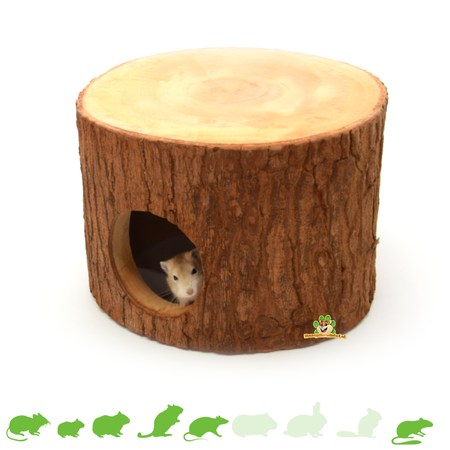 Gajah z pnia drzewa dla gryzoni!