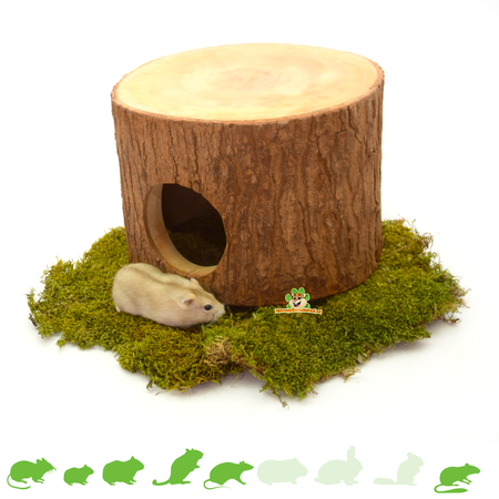 Gajah-Holz für Nagetiere!