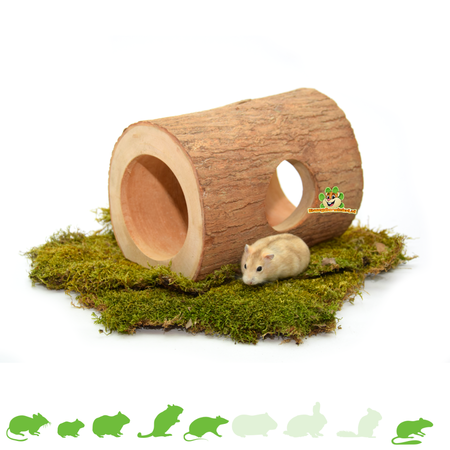 Tree Trunk Tunnel Wongan 23 cm for Rodents!