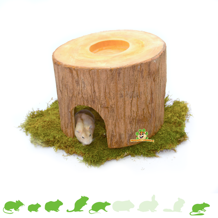 Tronco de árbol de cueva de caoba de Timpuseng, 18 cm