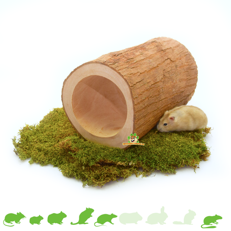 Boomstam Tunnel Lampegan  voor Knaagdieren!