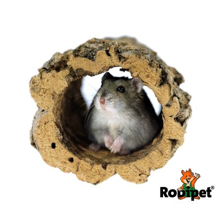 Rodipet Tunnel en liège S