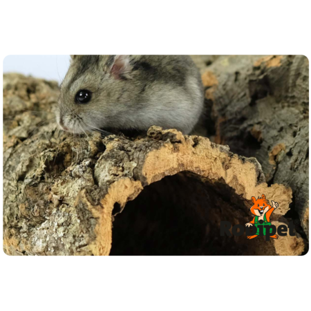 Rodipet Tunel korkowy S