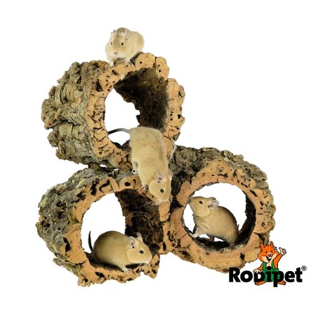 Rodipet Tunnel en liège L