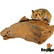 Rodipet Bloc d'escalade 24/35 cm