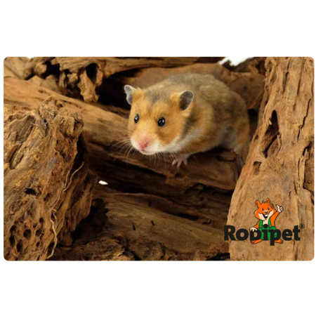 Rodipet Bloc d'escalade 24/35 cm
