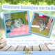 Russian Dwarf Hamster (Hamster Reservation)