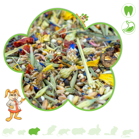 Getzoo Alimento básico para hámsteres, 500 gramos.