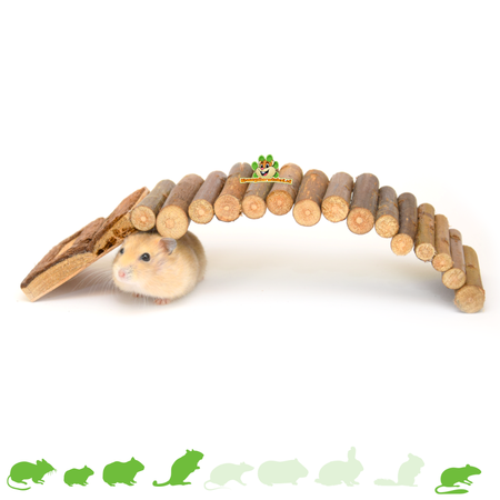 Trixie Drabinka wierzbowa 27 cm dla małych gryzoni
