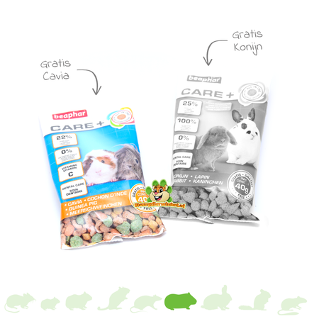 Beaphar Kostenlose Testversion von Care+ Meerschweinchen und Kaninchen