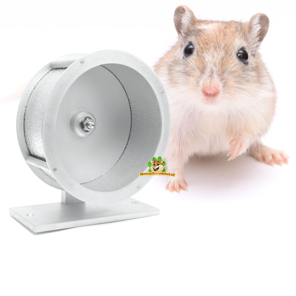 Gerbil exercise wheel and running wheel that is gnaw-resistant