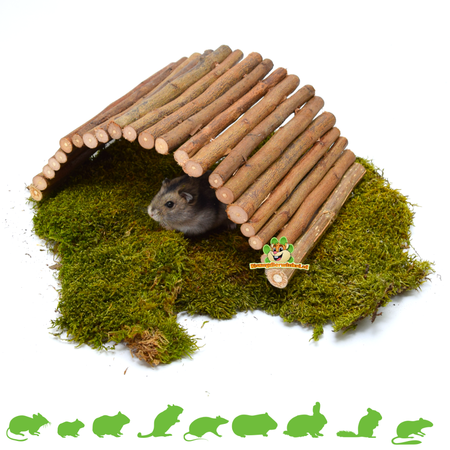 Trixie Mostek wierzbowy 28 cm dla gryzoni