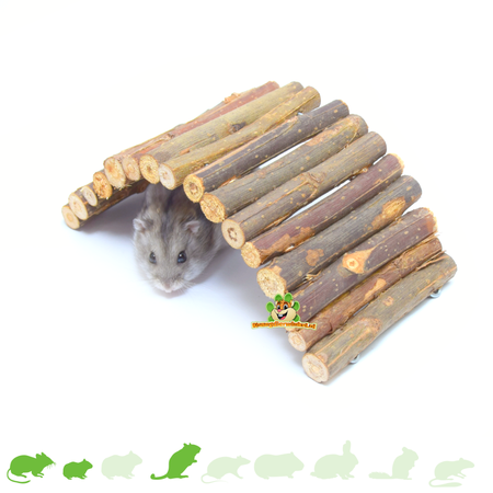 Trixie Wilgenbrug 22 cm voor Muis, Dwerghamster en Gerbil