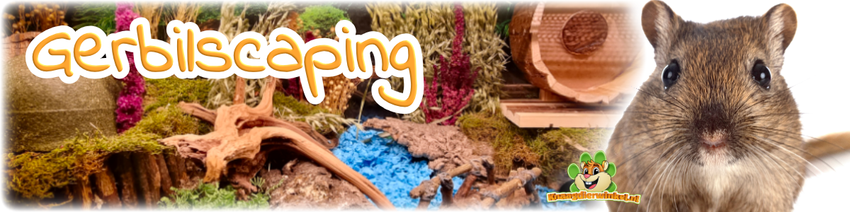 gerbil scaping for happy gerbils