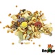 Rodipet Bio Natural Gerbille Aliment Senior 500 grammes