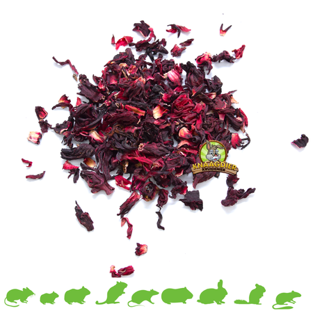 Dried Hibiscus Flowers for Rodents & Rabbits