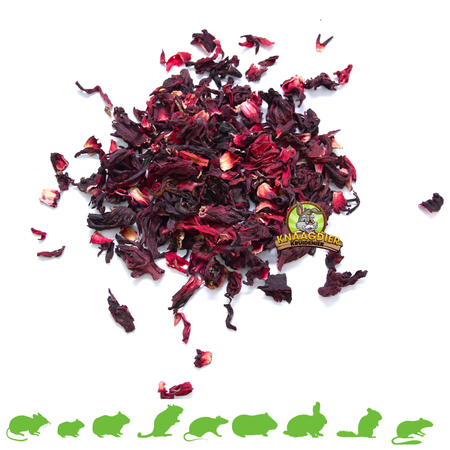 Gedroogde Hibiscus Bloemen voor Knaagdieren en Konijnen 150 gram