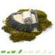 Rock Bake Graue Ecke