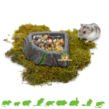 Rock Bake Graue Ecke