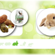 Versele-Laga Aliment complet Versele-Laga pour lapins adultes Cuni – tout-en-un sans céréales (50–80 g/jour)