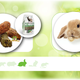 Versele-Laga Komplettfutter für ausgewachsene Kaninchen von Cuni