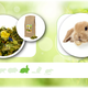 JR Farm Alimento natural para conejos JR Farm sin pellets, 2 kg – Sin cereales y con alto contenido en fibra.