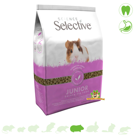 Supreme Selektives Meerschweinchen Junior