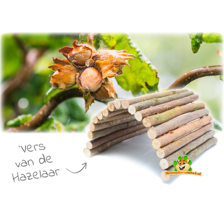 Rodipet Haselnussbrücke für Nagetiere und Kaninchen