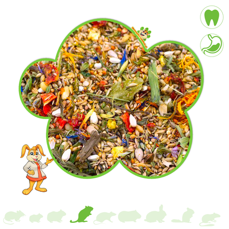 Getzoo Podstawowe menu dla gerbili 500 gramów naturalnej karmy dla gerbili