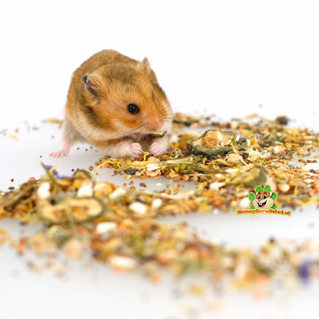 Rodipet Variété alimentaire Bio Golden Hamster 500 grammes