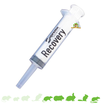 Recovery Spuitje 15 ml