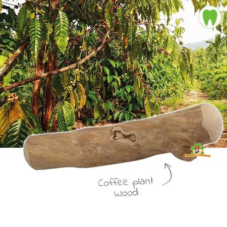 Drewno do żucia Coffeewood 20 cm dla gryzoni i królików