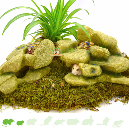 Kamienna Góra Hamsterscape